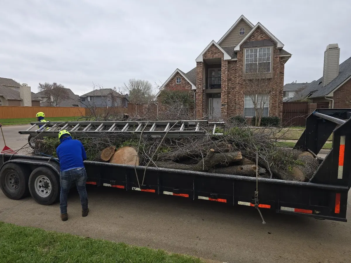 Expert Tree Fertilization with proper safety equipment in Hernshaw